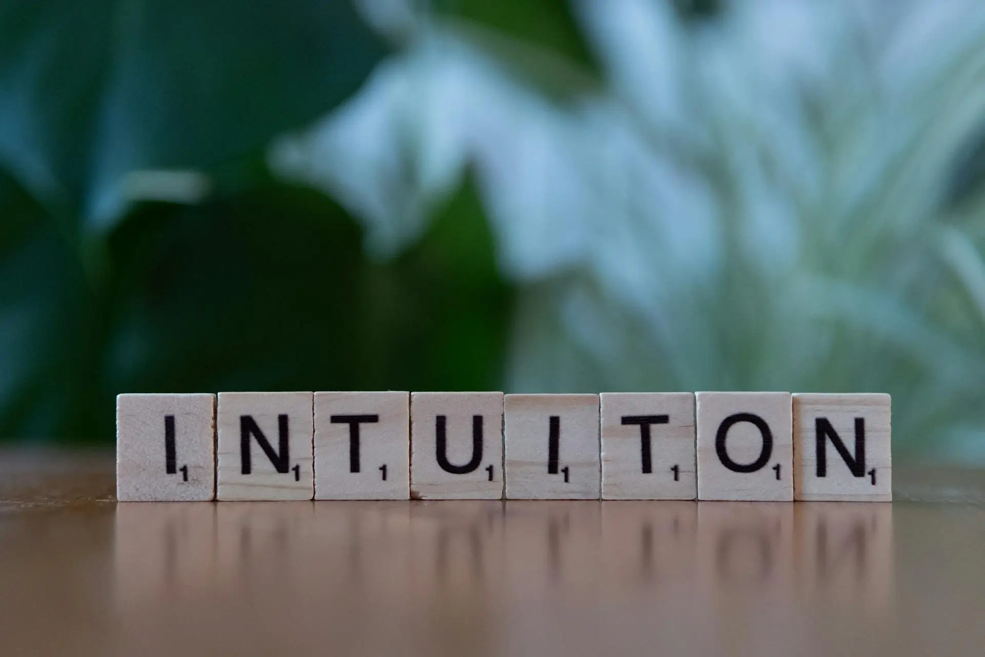 Trading Intuition Visualization